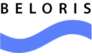 Интернет-магазин Beloris.ru